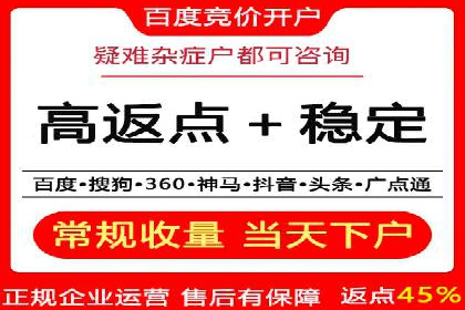 百度推广排名案例解读：旅游行业如何运用其扩大影响力